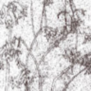 Meet your Posher, Lavrendia